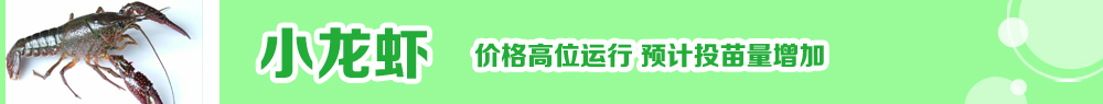 2014ˮ紺ָ