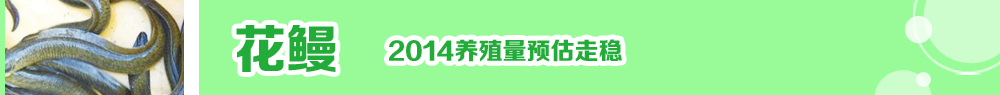 2014ˮ紺ָ