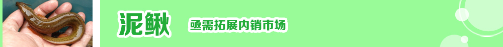 2014ˮ紺ָ