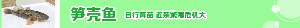 2014ˮ紺ָ