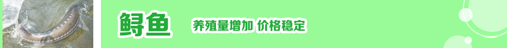 2014ˮ紺ָ