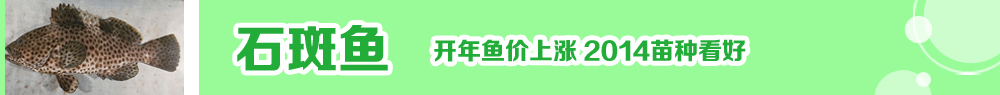 2014ˮ紺ָ