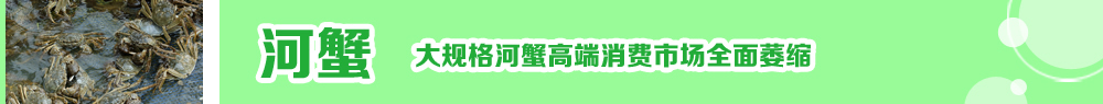 2014ˮ紺ָ