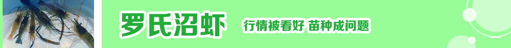 2014ˮ紺ָ