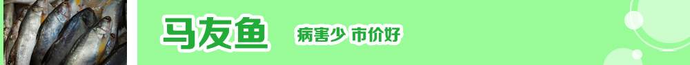 2014ˮ紺ָ