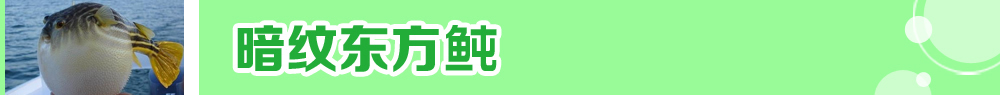 2015ˮ紺ָ