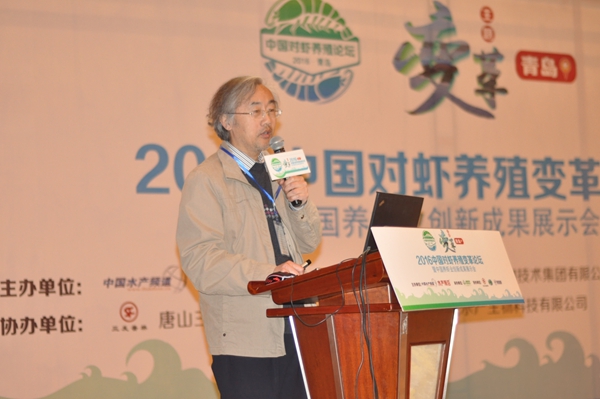 马甡：中国海洋大学教授博士生导师
