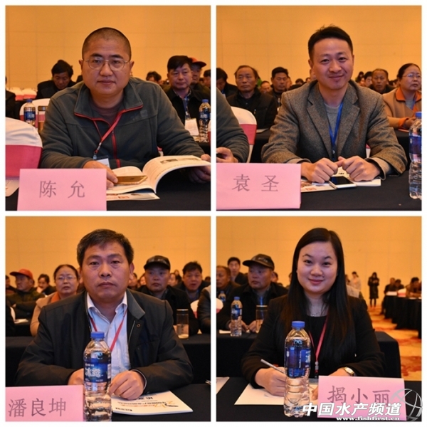 图文报道图片