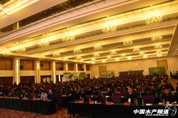 图文报道潜江图片