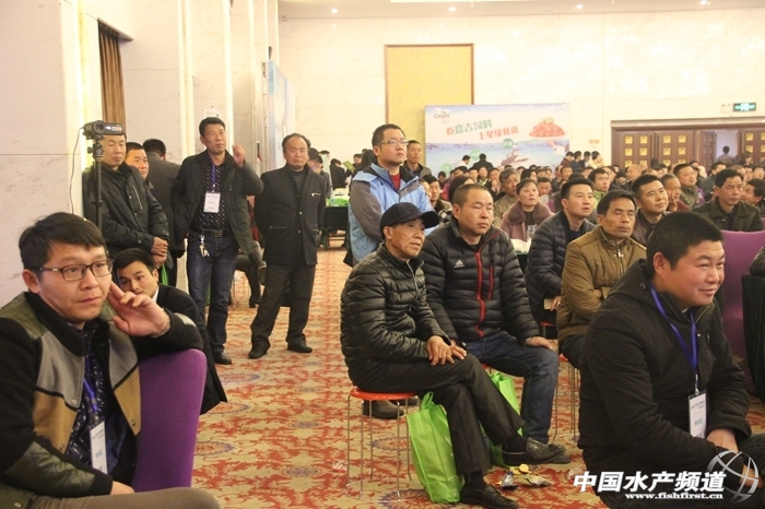 图文报道潜江图片