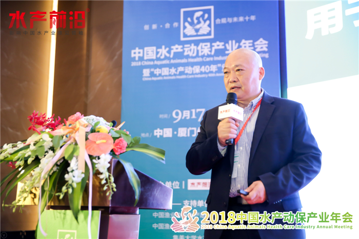 精彩报告