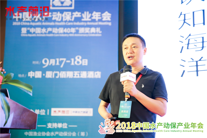 精彩报告