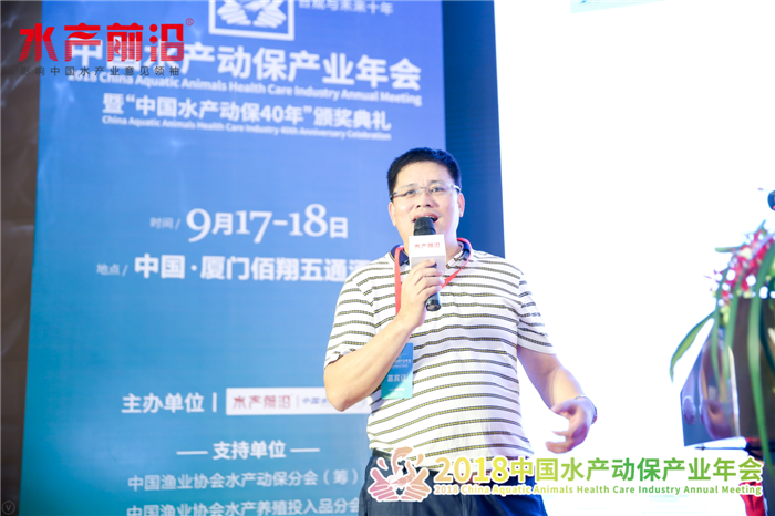 精彩报告