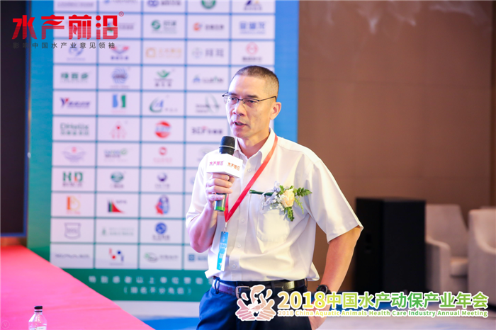 精彩报告