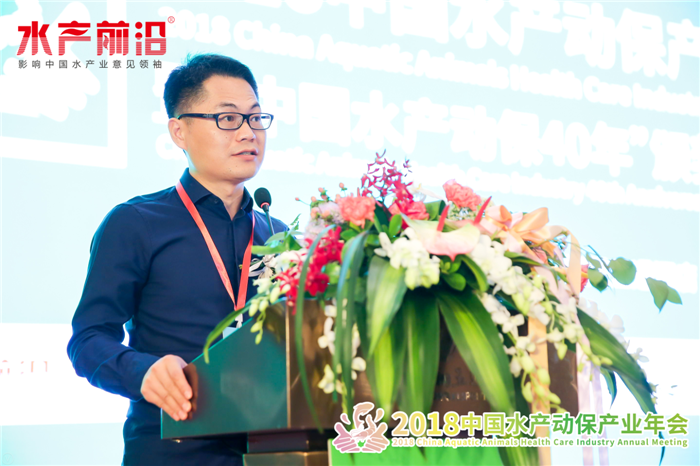 精彩报告