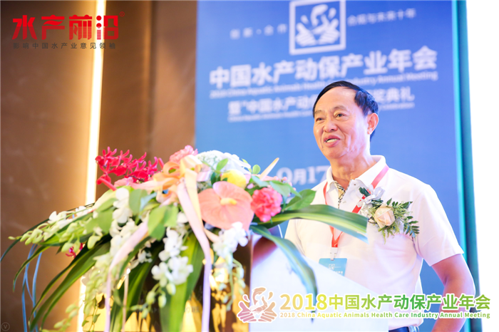 精彩报告