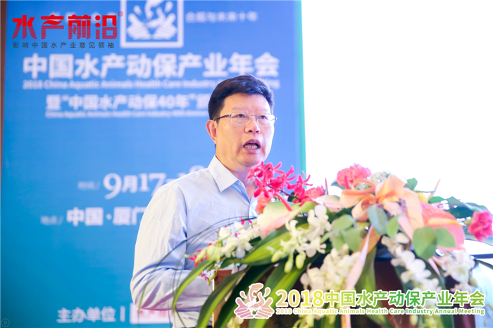 精彩报告