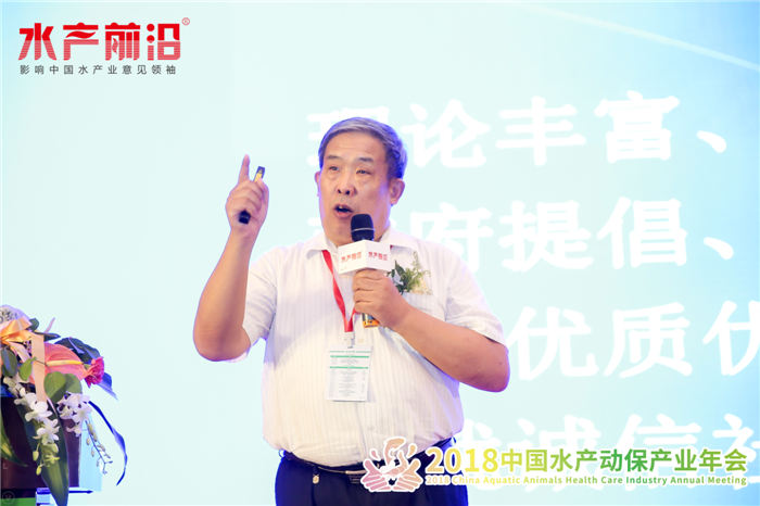 精彩报告