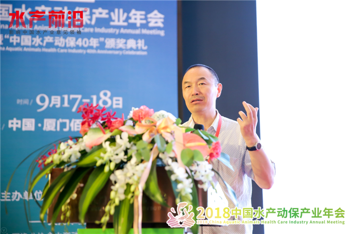 精彩报告
