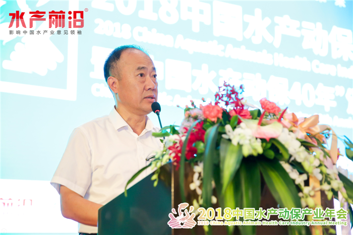 精彩报告