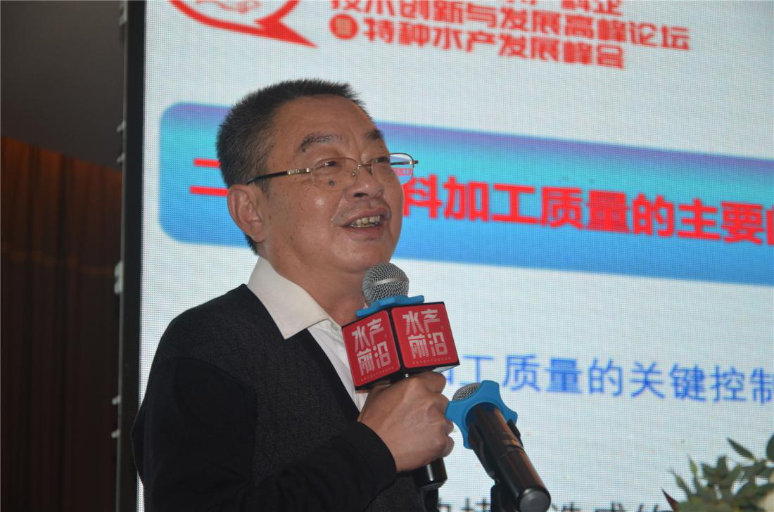 精彩报告