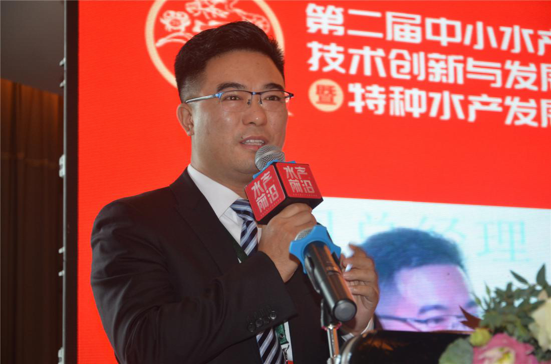 精彩报告