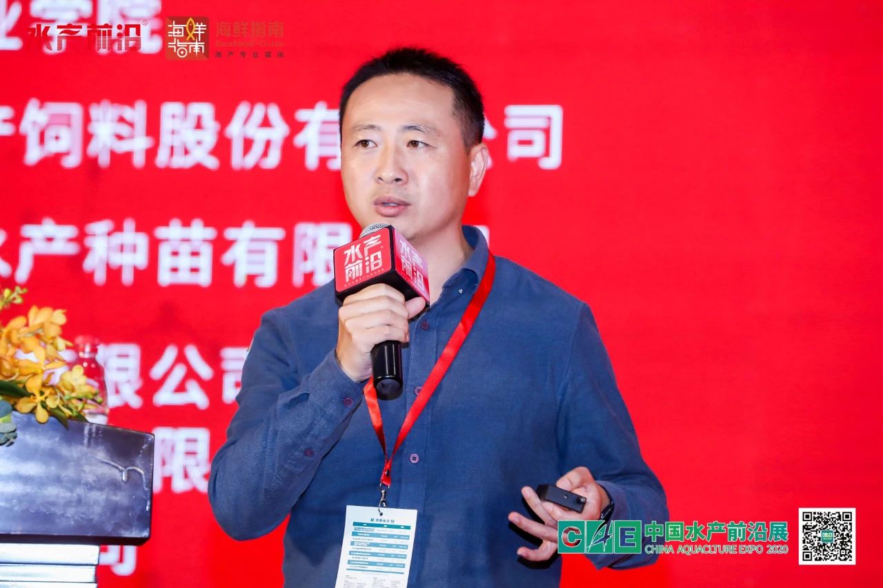 精彩报告
