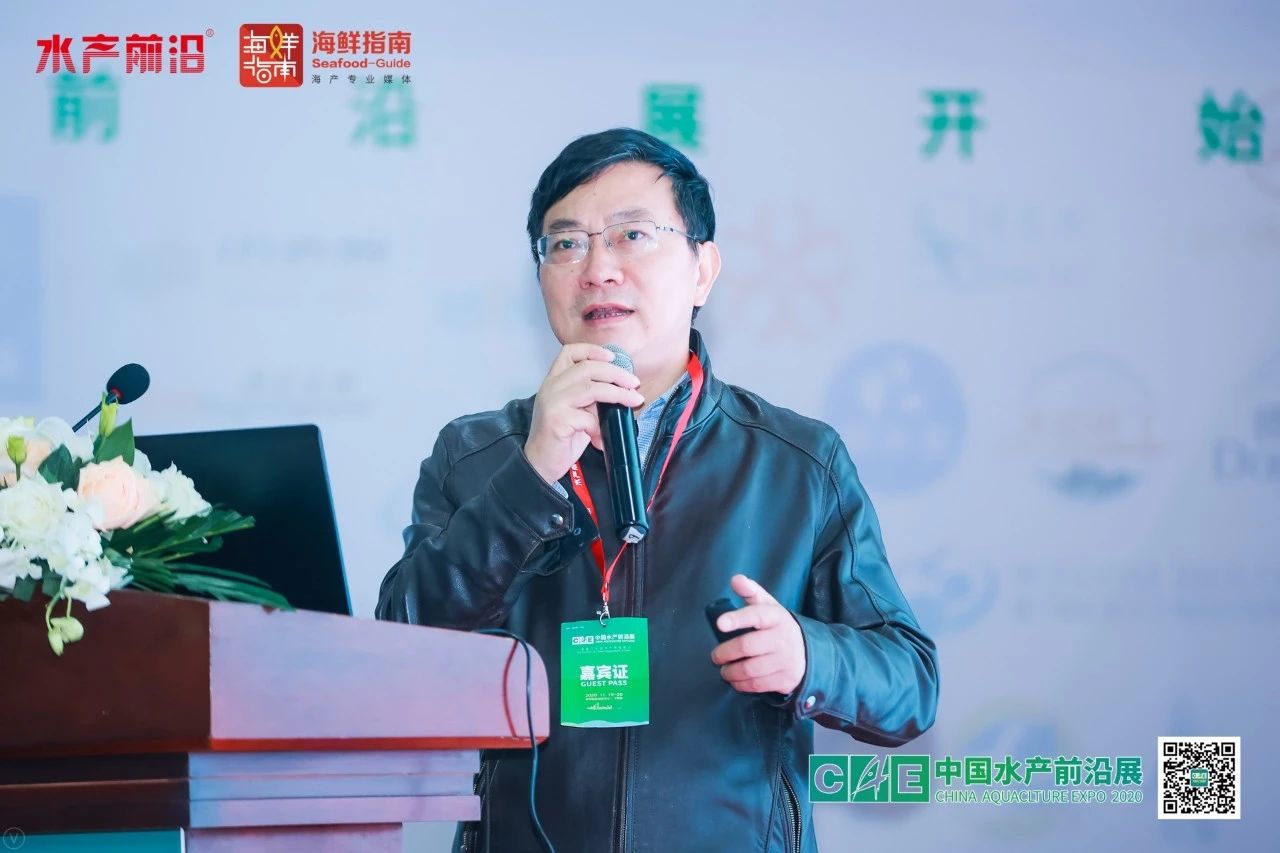 精彩报告