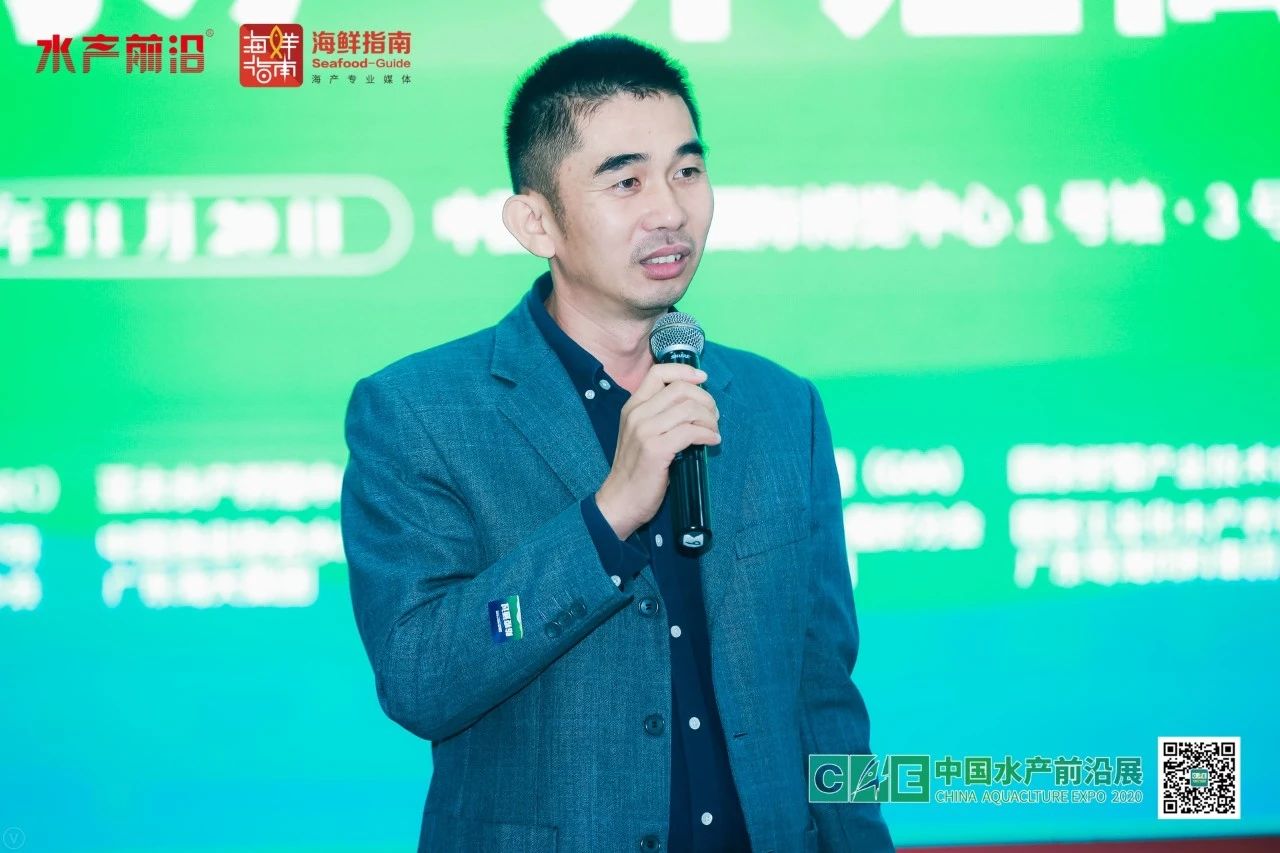 精彩报告