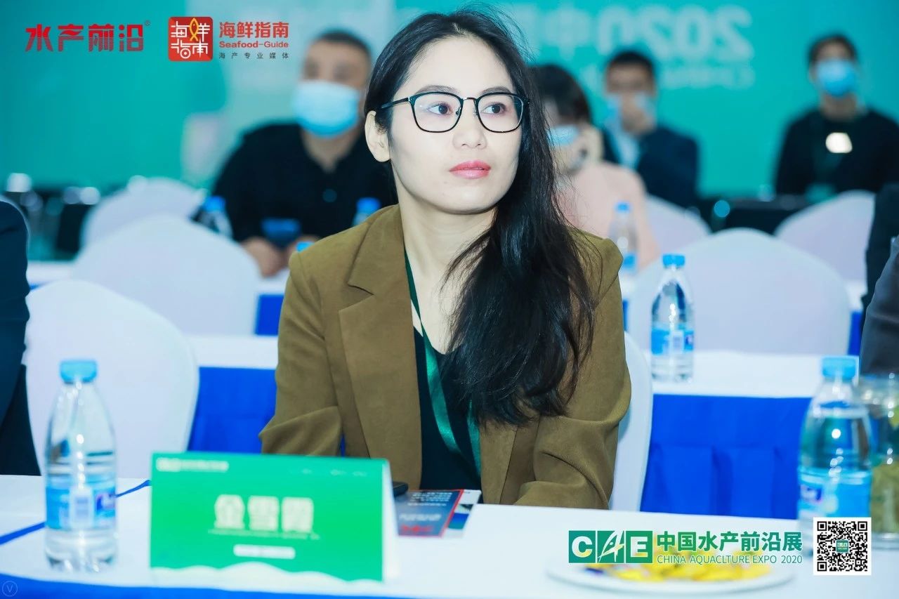 精彩报告