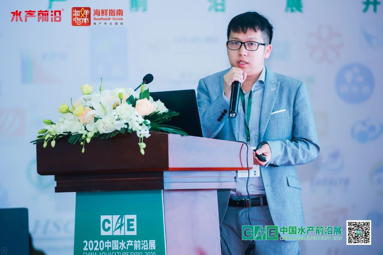 精彩报告