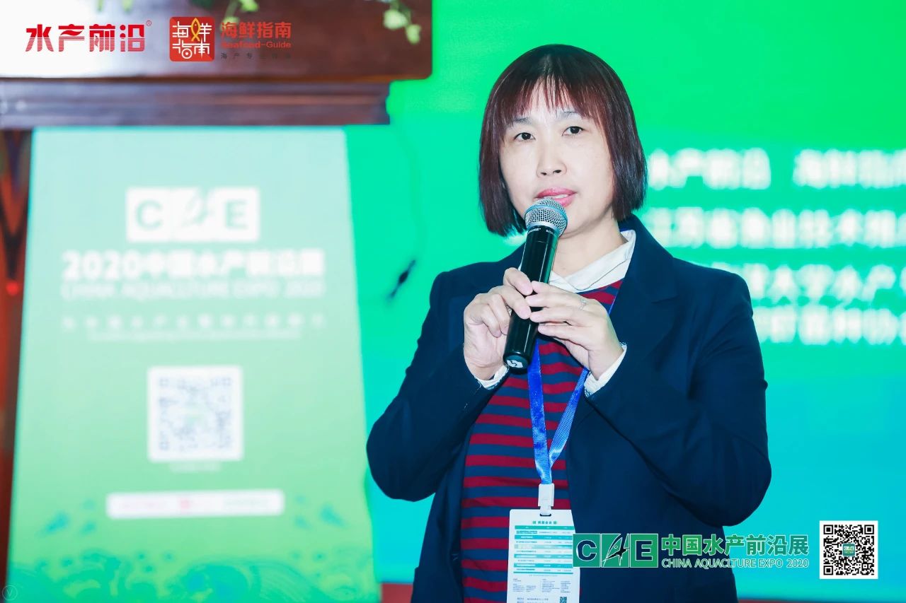 精彩报告