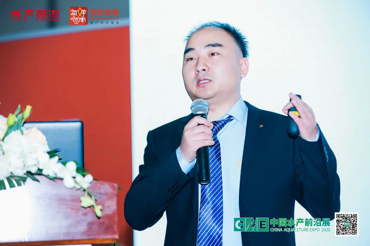 精彩报告