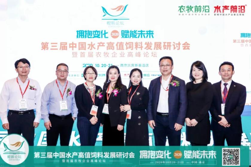 精彩报告