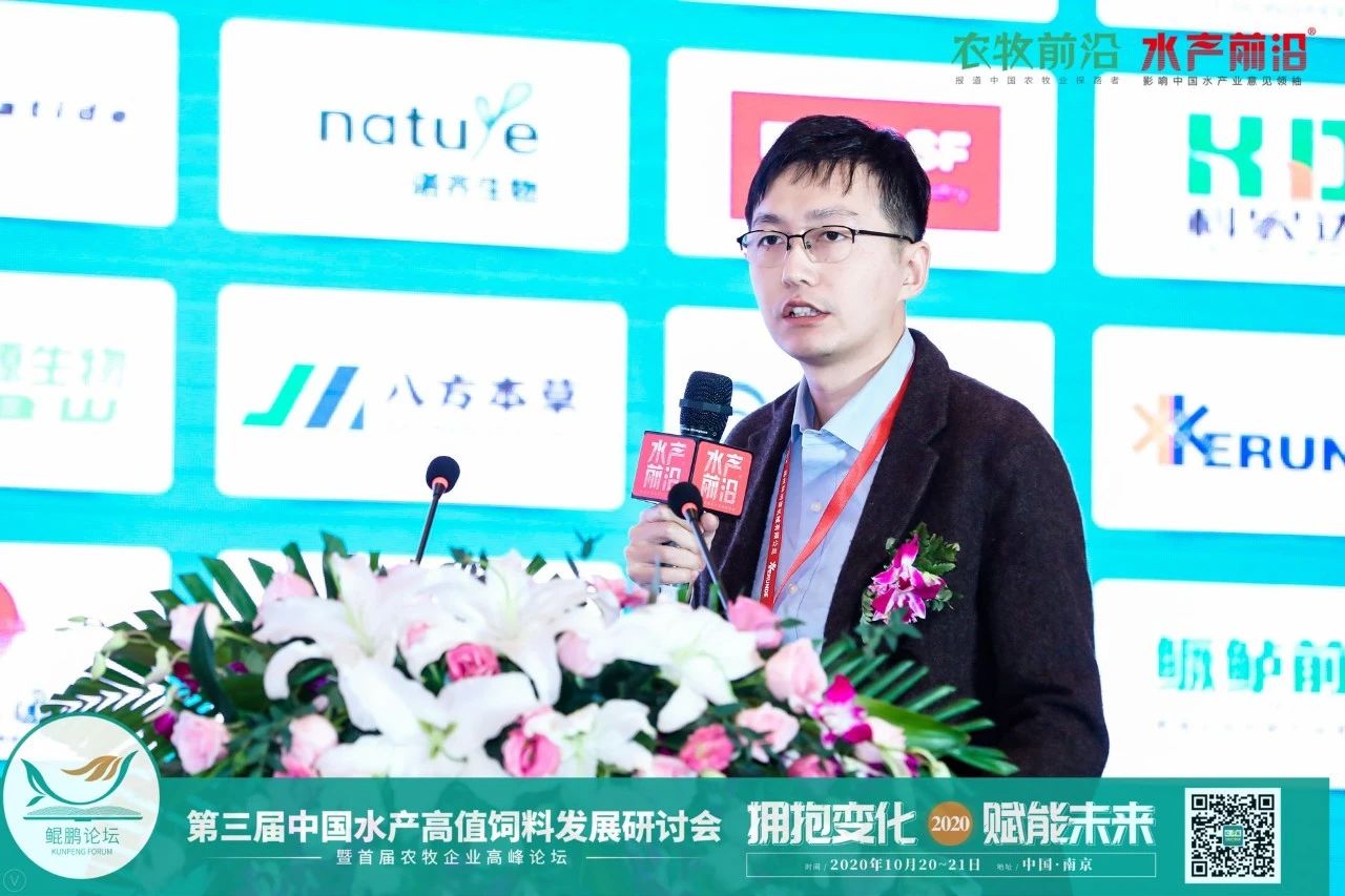 精彩报告