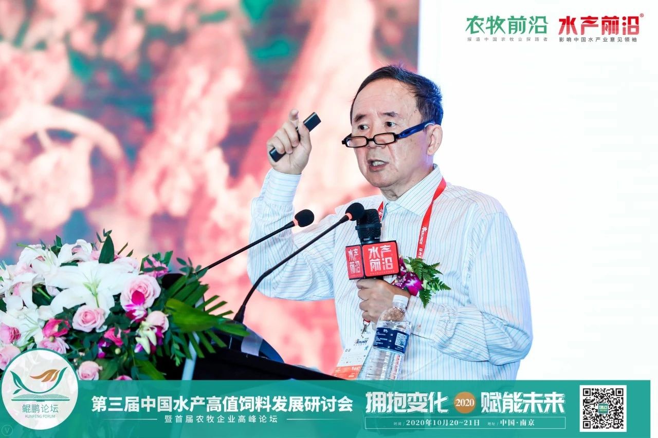 精彩报告