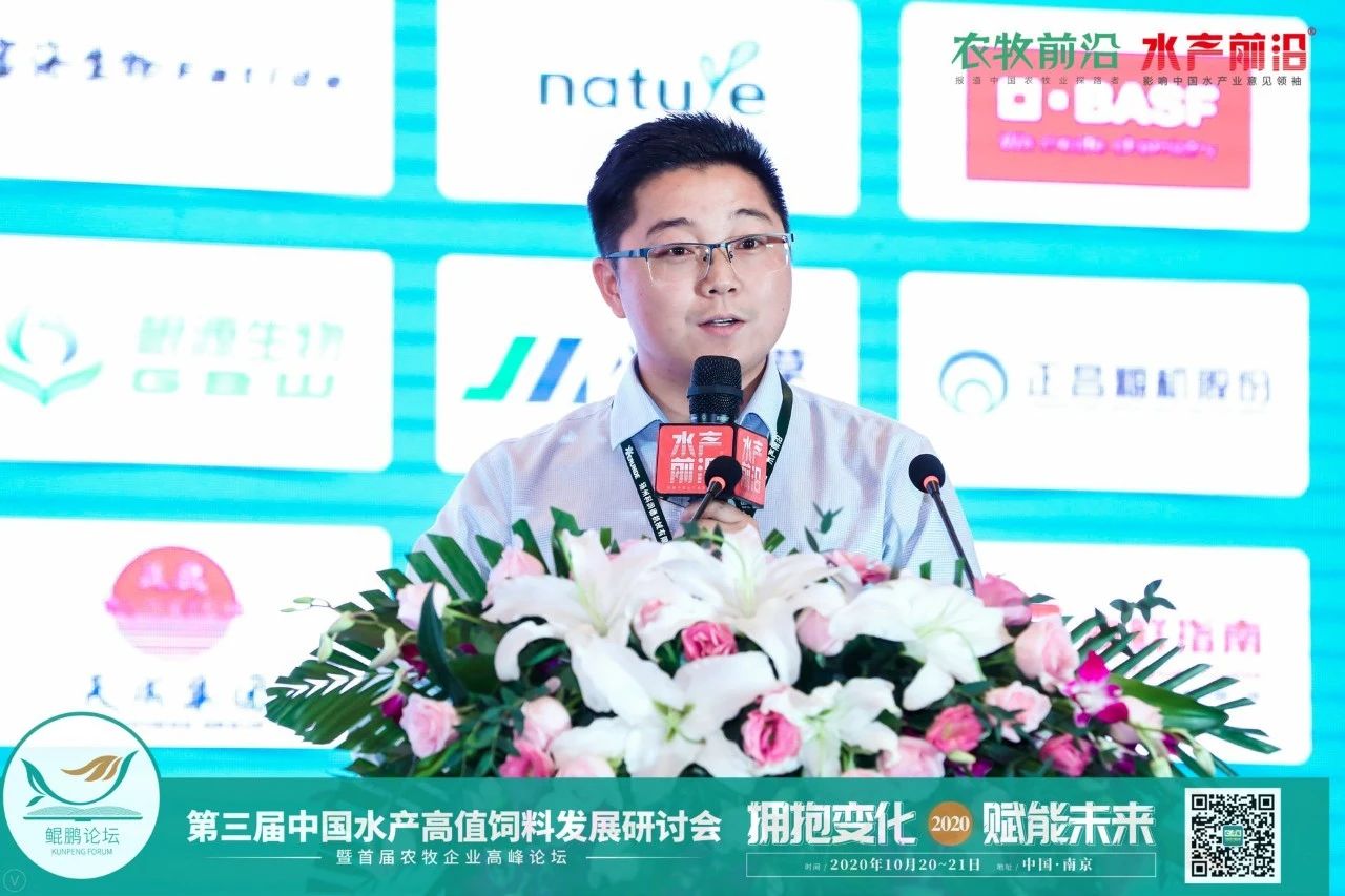 精彩报告