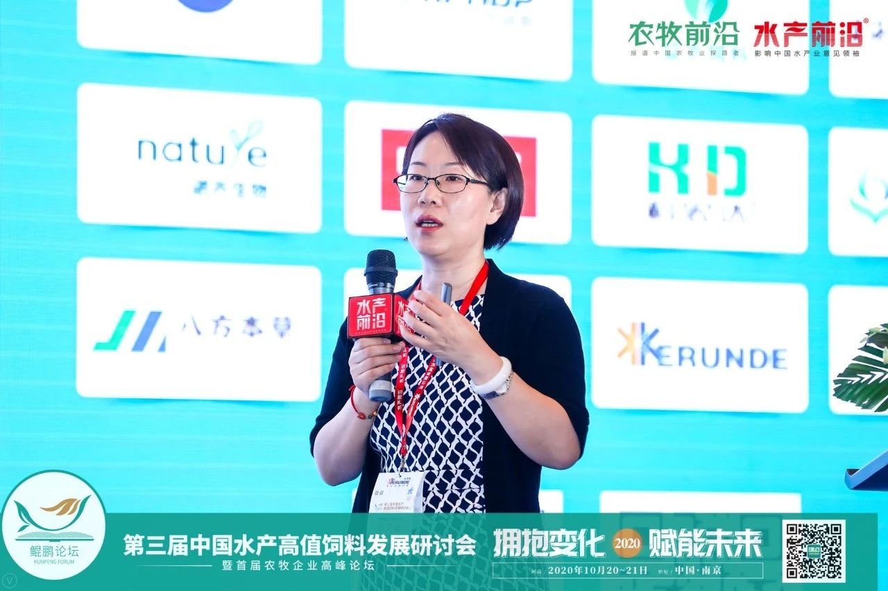 精彩报告