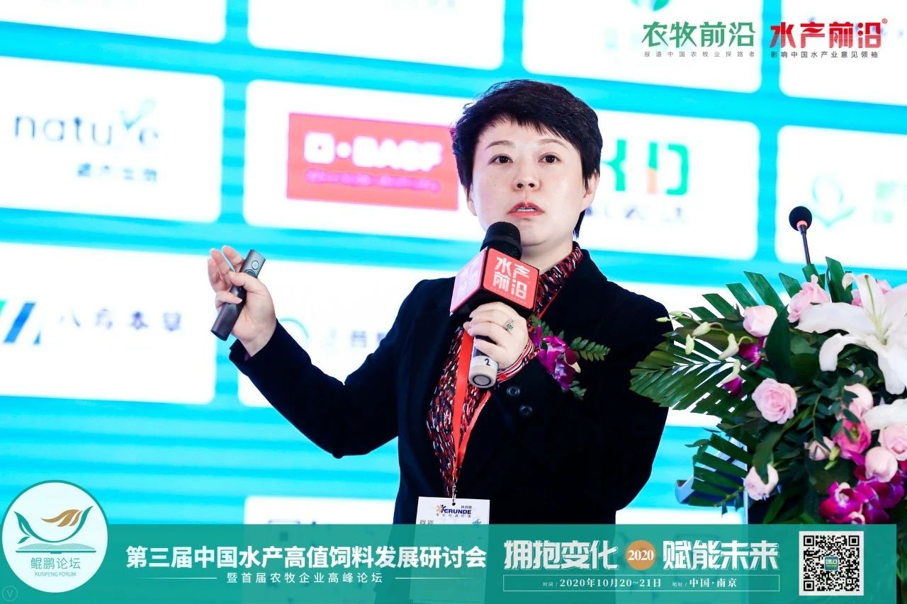 精彩报告
