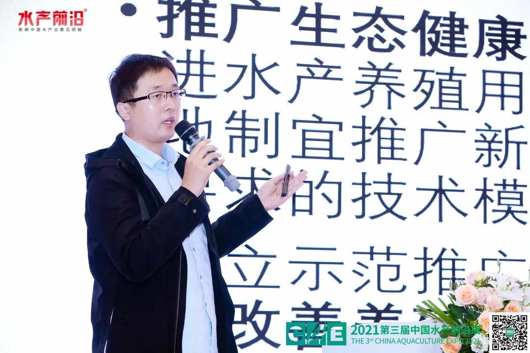 精彩报告