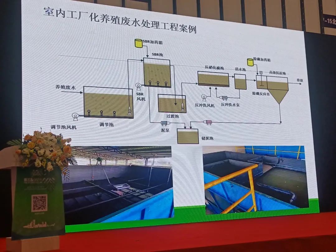 精彩报告