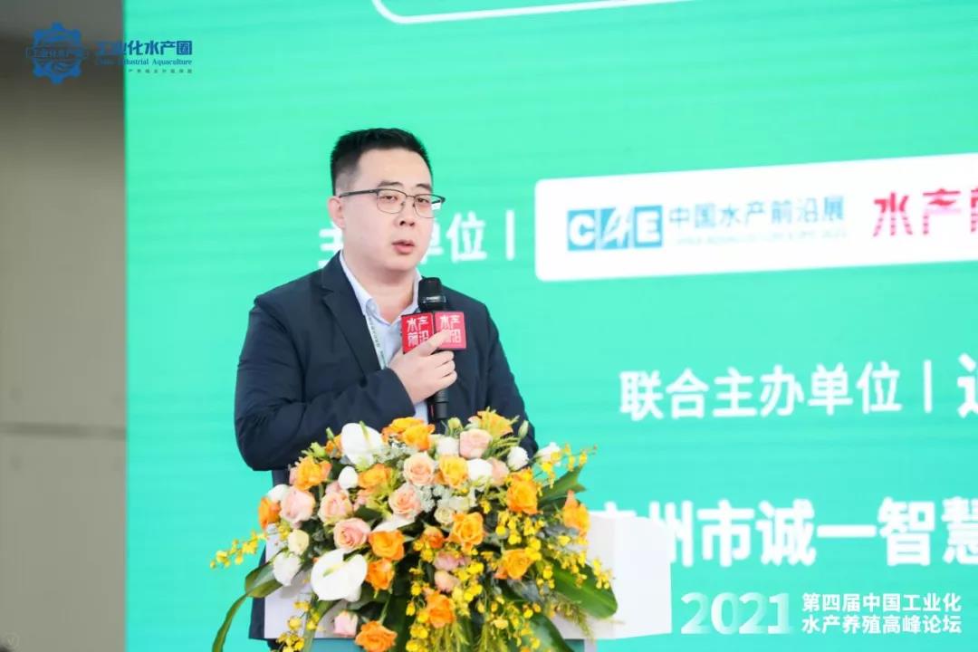 精彩报告
