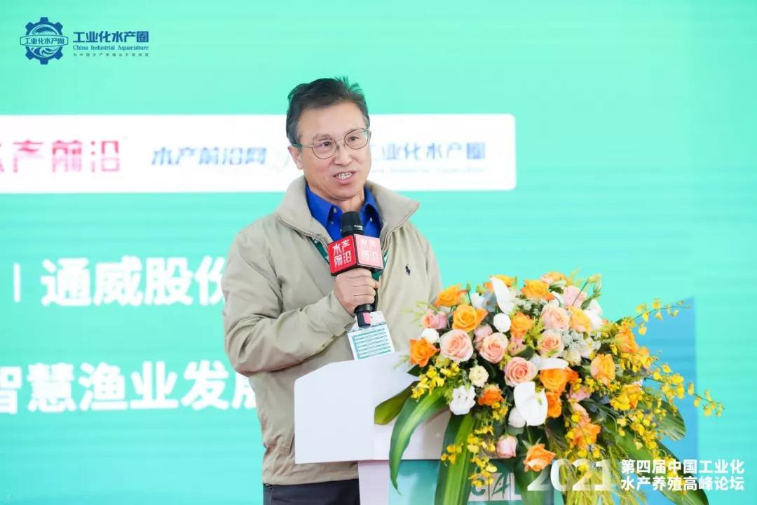 精彩报告
