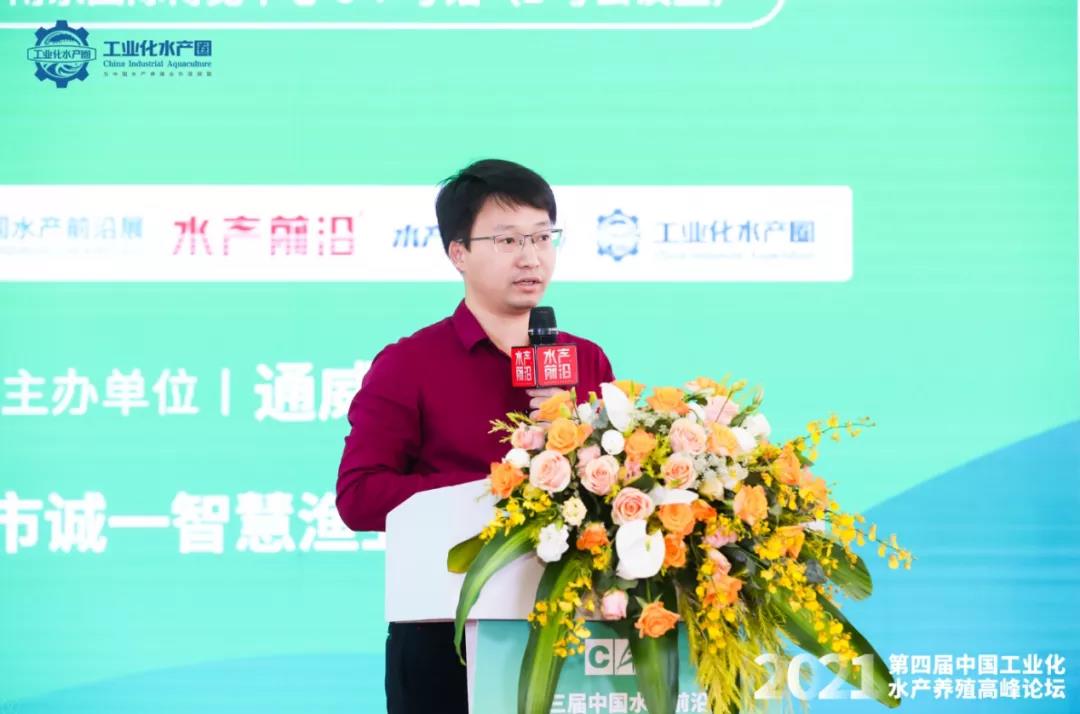 精彩报告
