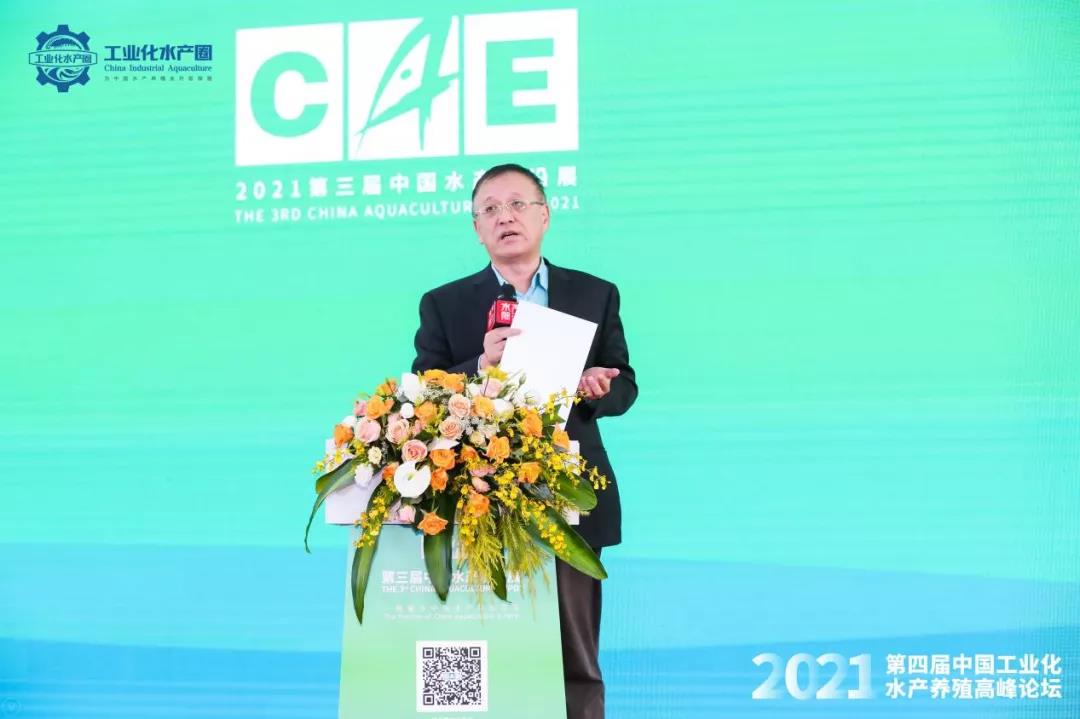 精彩报告