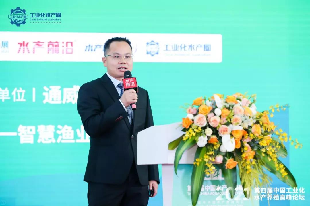 精彩报告