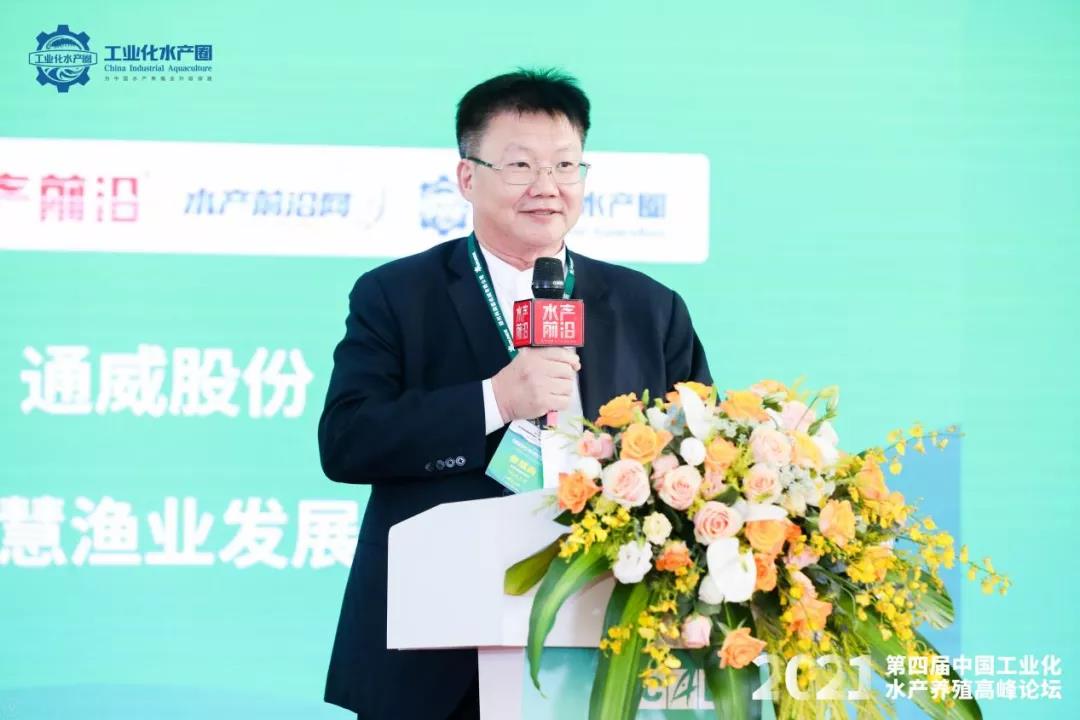精彩报告