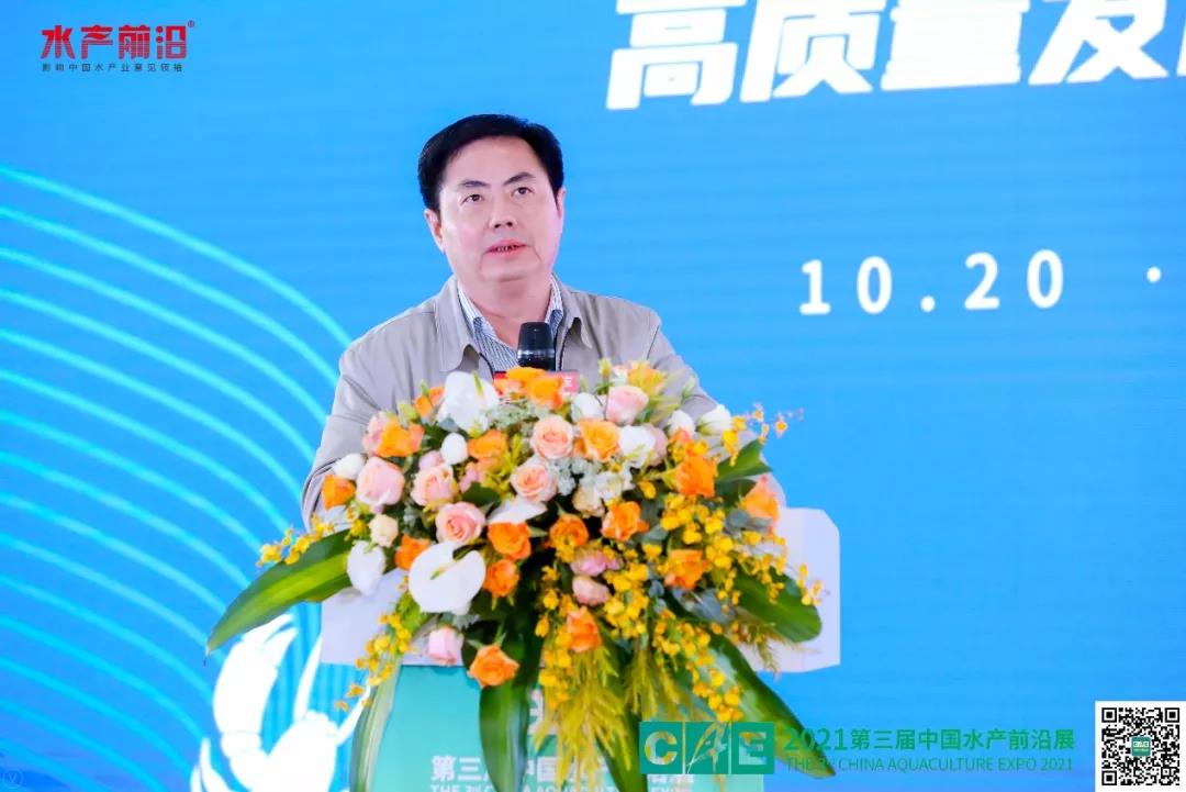 精彩报告