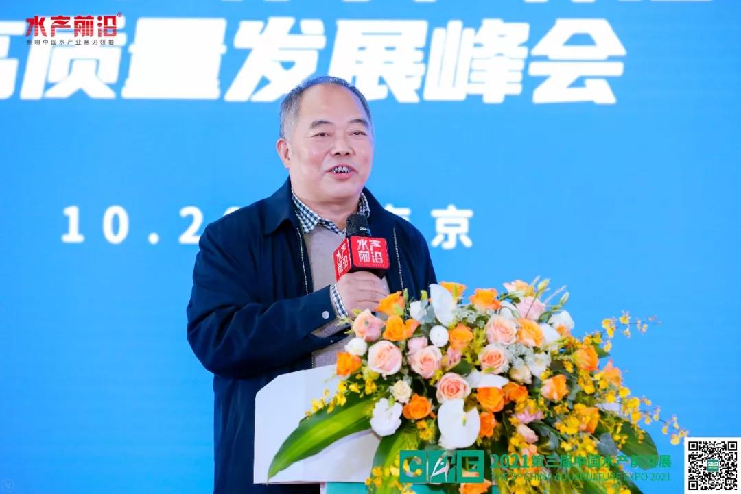精彩报告