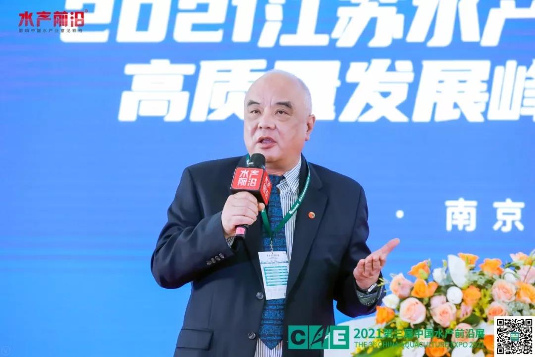 精彩报告
